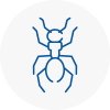 Ant Removals In Deal