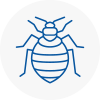 Bed Bug Extermination In Deal