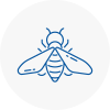 Bee Nest Removal Deal