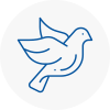 Bird Prevention Deal