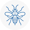 Deal Hornet Nest Removals