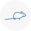 Mice Exterminators In Deal