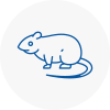 Rat Control Deal