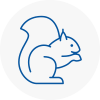 Deal Rodent Removals