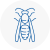 Deal Wasp Nest Removal